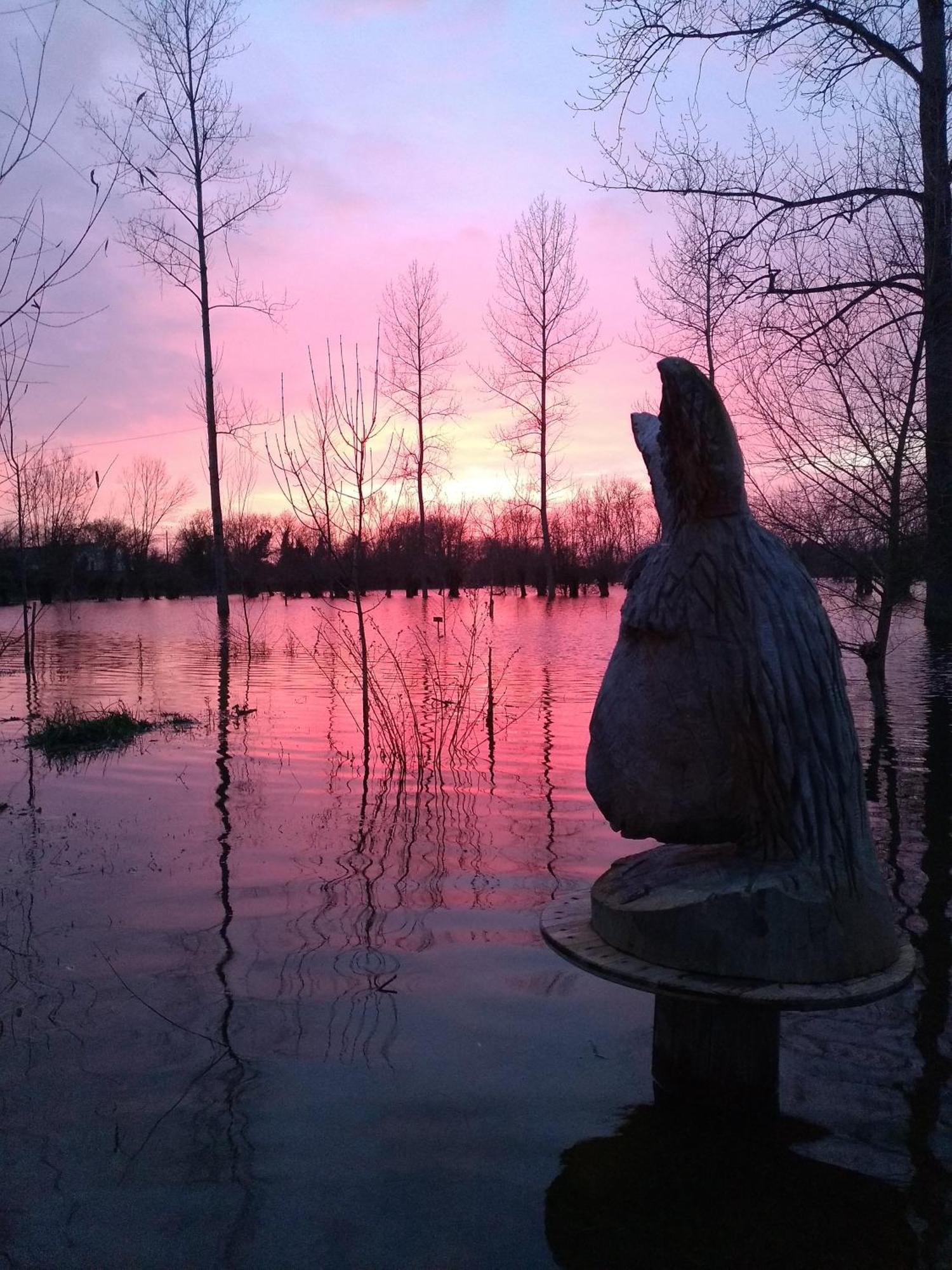 La Ferme Du Marais Poitevin - Roulotte Ξενοδοχείο Benet Εξωτερικό φωτογραφία