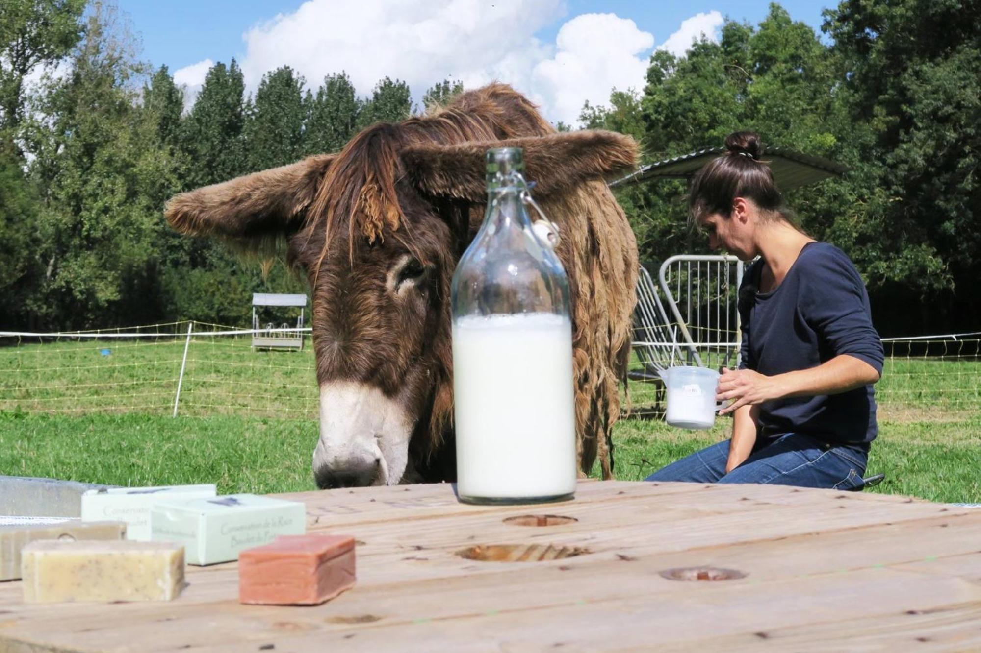 La Ferme Du Marais Poitevin - Roulotte Ξενοδοχείο Benet Εξωτερικό φωτογραφία