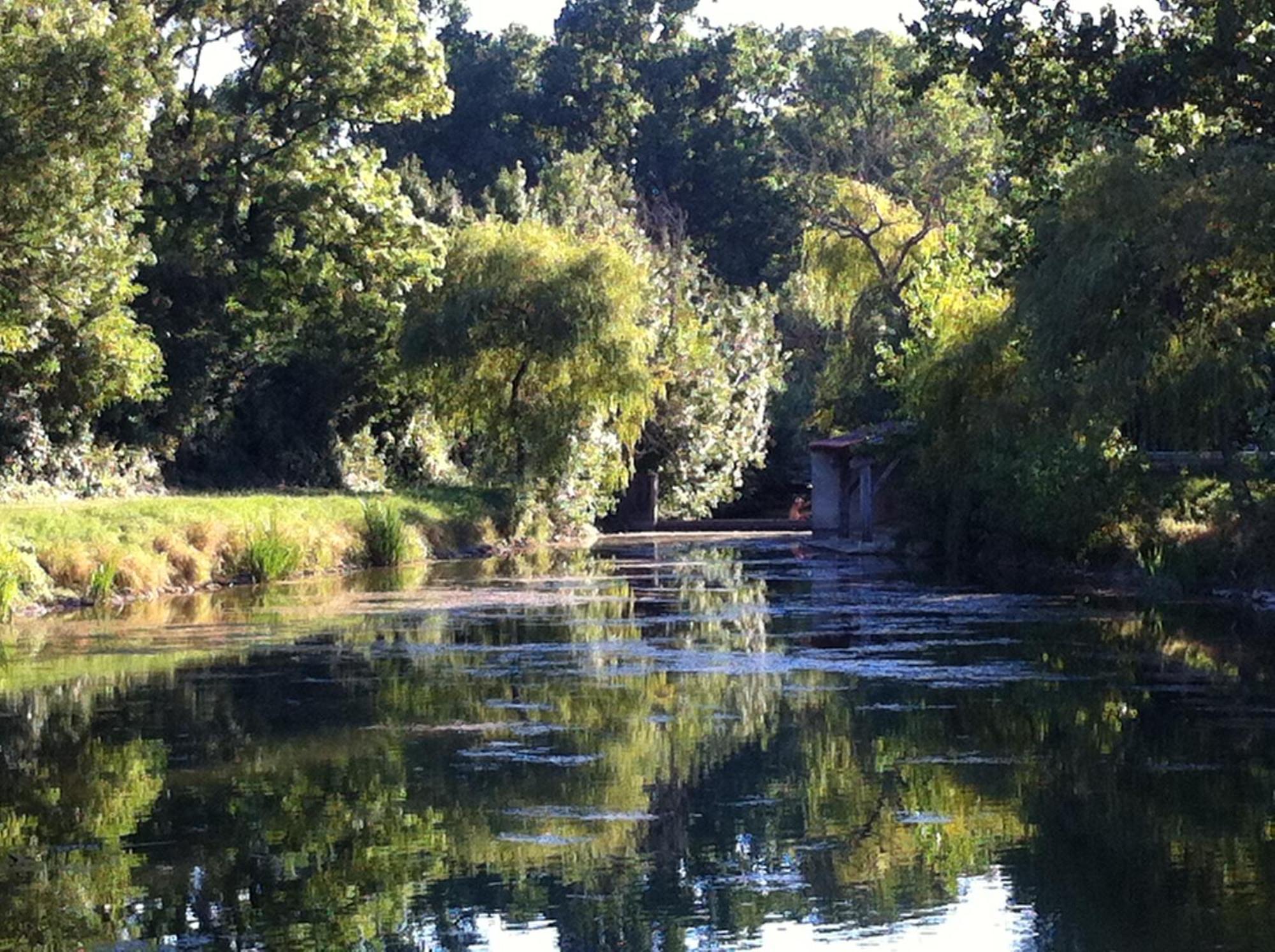 La Ferme Du Marais Poitevin - Roulotte Ξενοδοχείο Benet Εξωτερικό φωτογραφία
